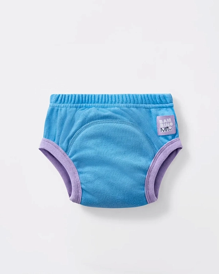 Potty Training Pants 2-3 Yrs Sky