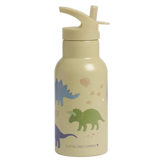 Stainless steel drink bottle: Dinosaurs